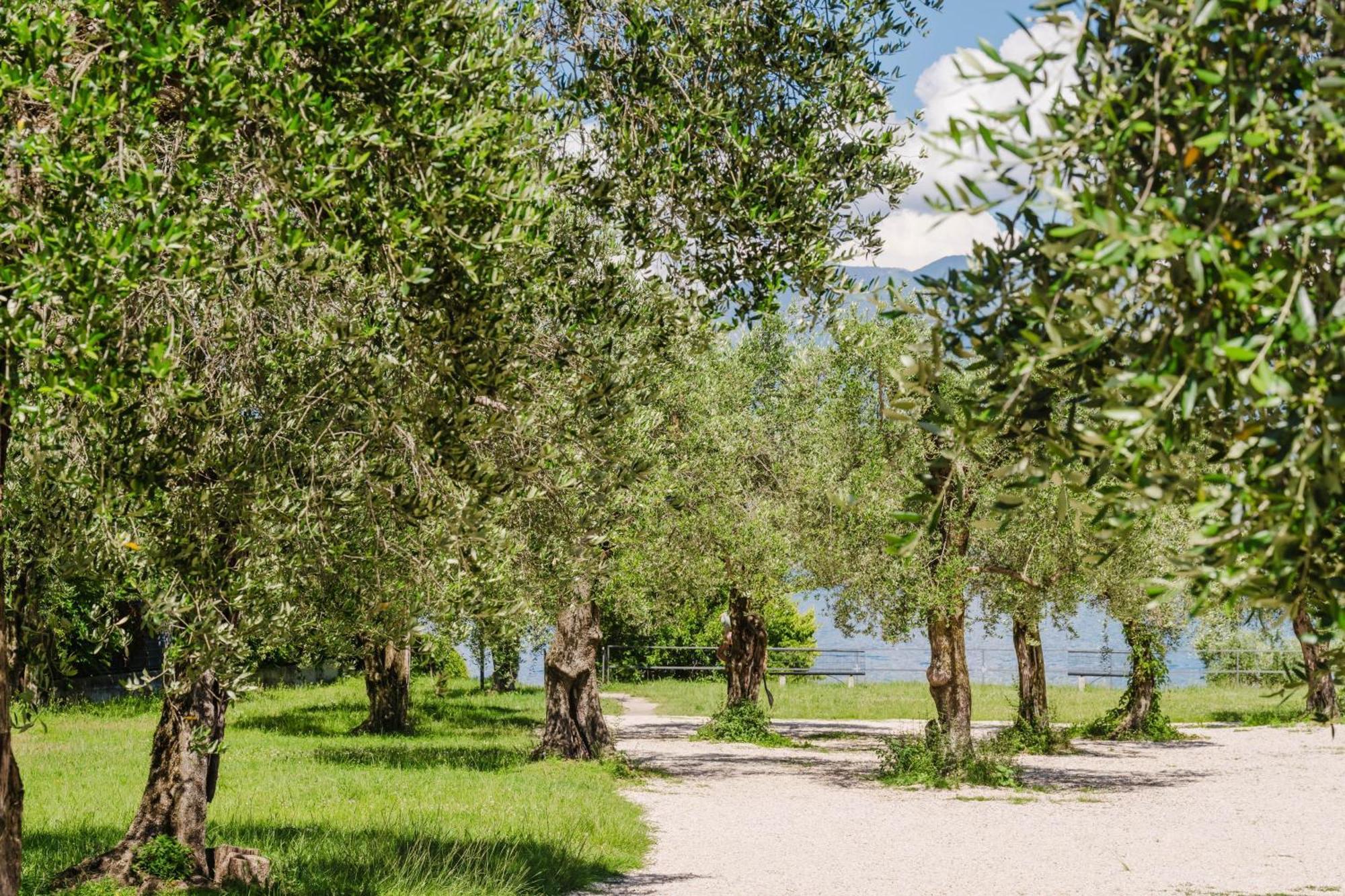 Il Nido Dei Gufi Bed And Breakfast Toscolano Maderno Eksteriør bilde