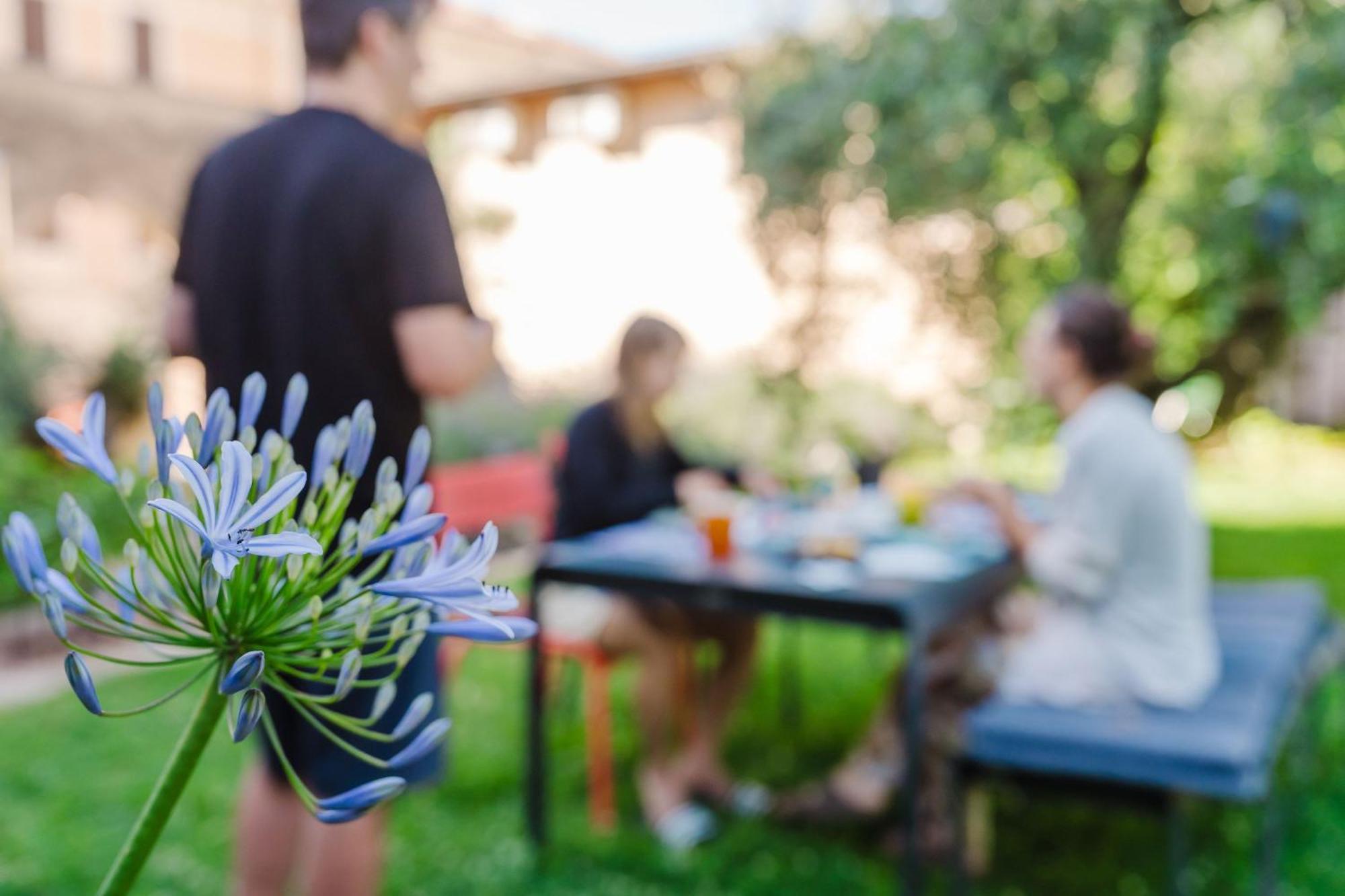 Il Nido Dei Gufi Bed And Breakfast Toscolano Maderno Eksteriør bilde